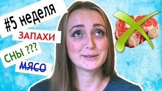 5 НЕДЕЛЯ БЕРЕМЕННОСТИ 😡ТОКСИКОЗ беременных 😱 мои ОЩУЩЕНИЯ Запахи Сны НЕ ЕМ МЯСО 5 НЕДЕЛЯ БЕРЕМЕННОСТИ 😡ТОКСИКОЗ беременных 😱 мои ОЩУЩЕНИЯ Запахи Сны НЕ ЕМ МЯСО