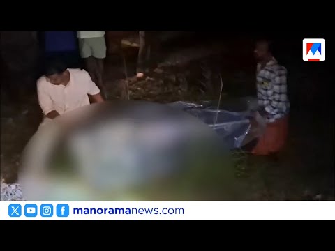 വടകരയിൽ വീണ്ടും റെയിൽവേ ട്രാക്കിൽ ദുരന്തം; ട്രെയിൻ തട്ടി അജ്ഞാതനെ മരിച്ച നിലയിൽ കണ്ടെത്തി | Train