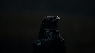 dark-neo-ritual-(deep24-bird...caged)