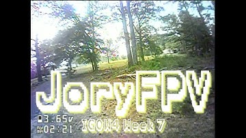 Treepy Spins -  #IGOW4 Week 7 // Tiny Whoop FPV Freestyle