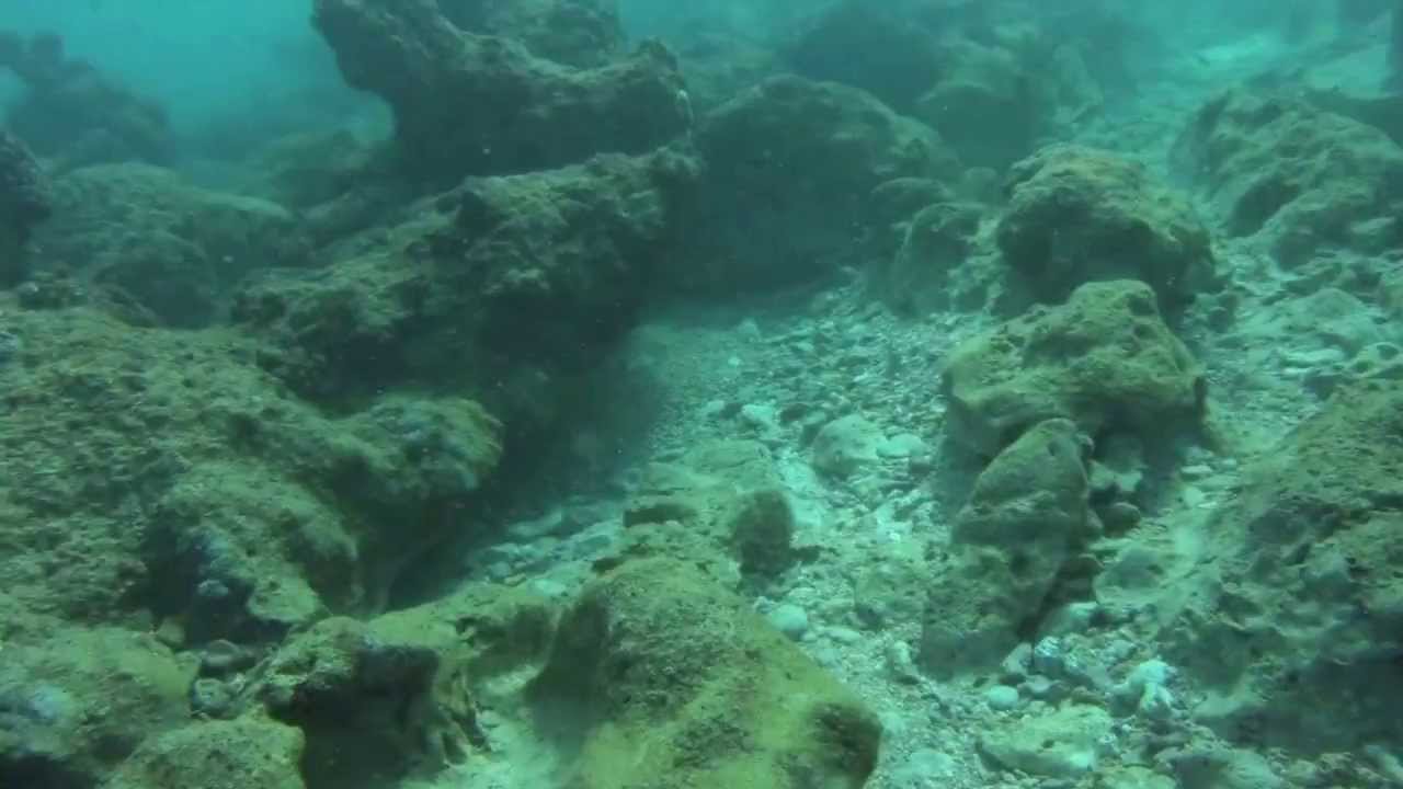 hawaii spearfishing kauai YouTube