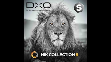 Brand New - Nik Collection 8 - Silver Efex from DXO Introduction - Perfect Black and White !