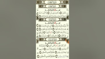سورة العصر والهمزة والفيل ( القارئ عمار ياسر)