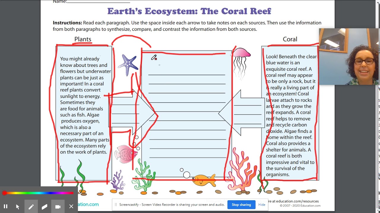 fifth grade ela lesson 27 youtube