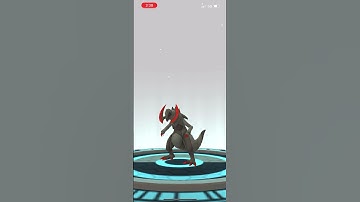 Thumbnail of Evolving SHINY Fraxure into shiny Haxorus in #pokemongo #pokémon #evolution