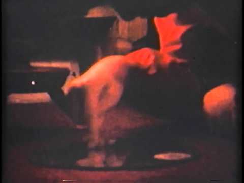 ブレイキング・グラス