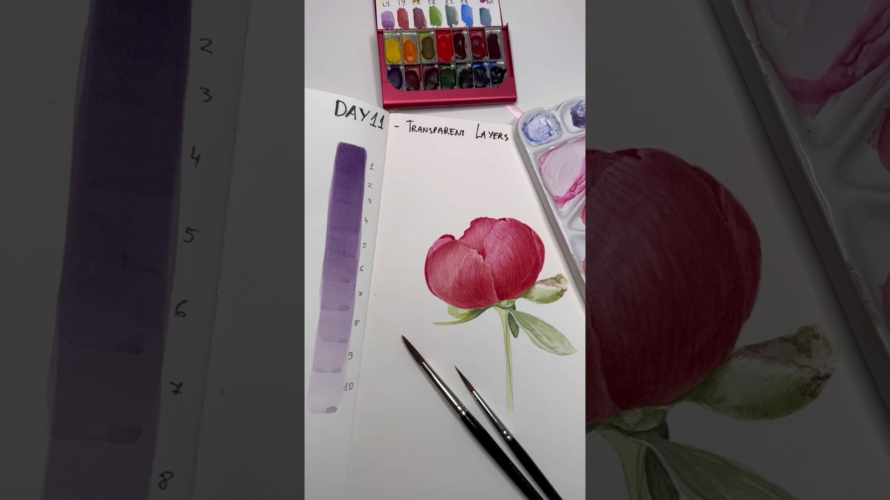 Day 11 Transparent layers 