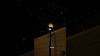 Ek Hai Sawal Tera Mera 🥰😍|Aesthetics |Lofi |#songlyrics #lyriscsong #aesthetic