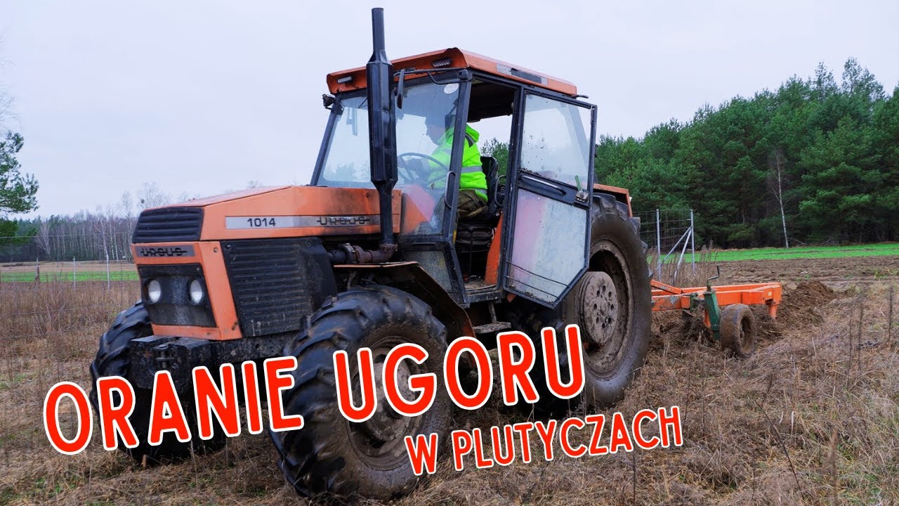 Oranie ugoru na nowej działce Czy Ursus 1014 i pługi Agro Masz dadzą radę Andrzej Rolnicy z Podlasia