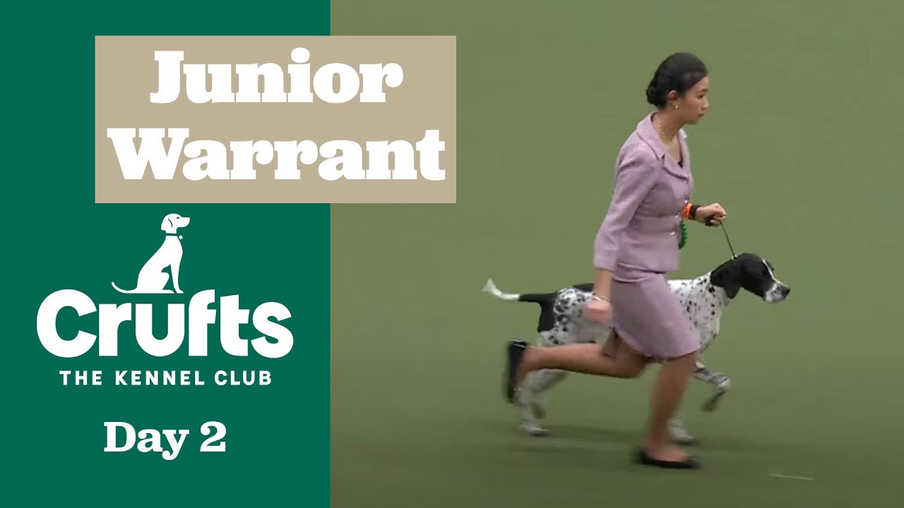 Joe Cartledge Memorial International Junior Handling Final Judging | Crufts 2025