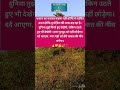 "तू चल, किस्मत खुद रास्ता मांगेगी!"#shorts #trendingshorts #motivation
