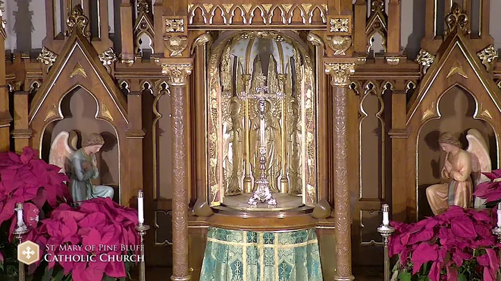 Daily Mass with Fr. Richard Heilman for January 9,...