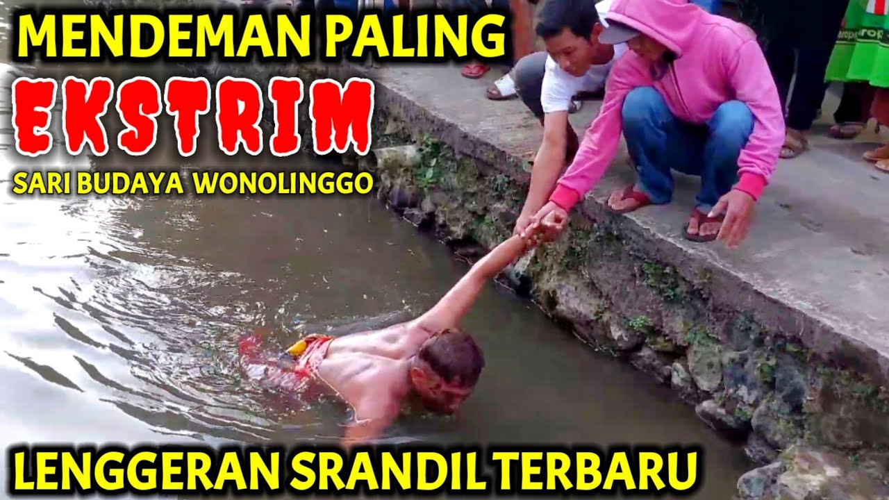 MENDEMAN PALING EKSTRIM SARI BUDAYA WONOLINGGO - LENGGERAN SRANDIL BESANI TERBARU