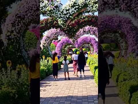 Giant heart shaped Dubai Miracle Garden