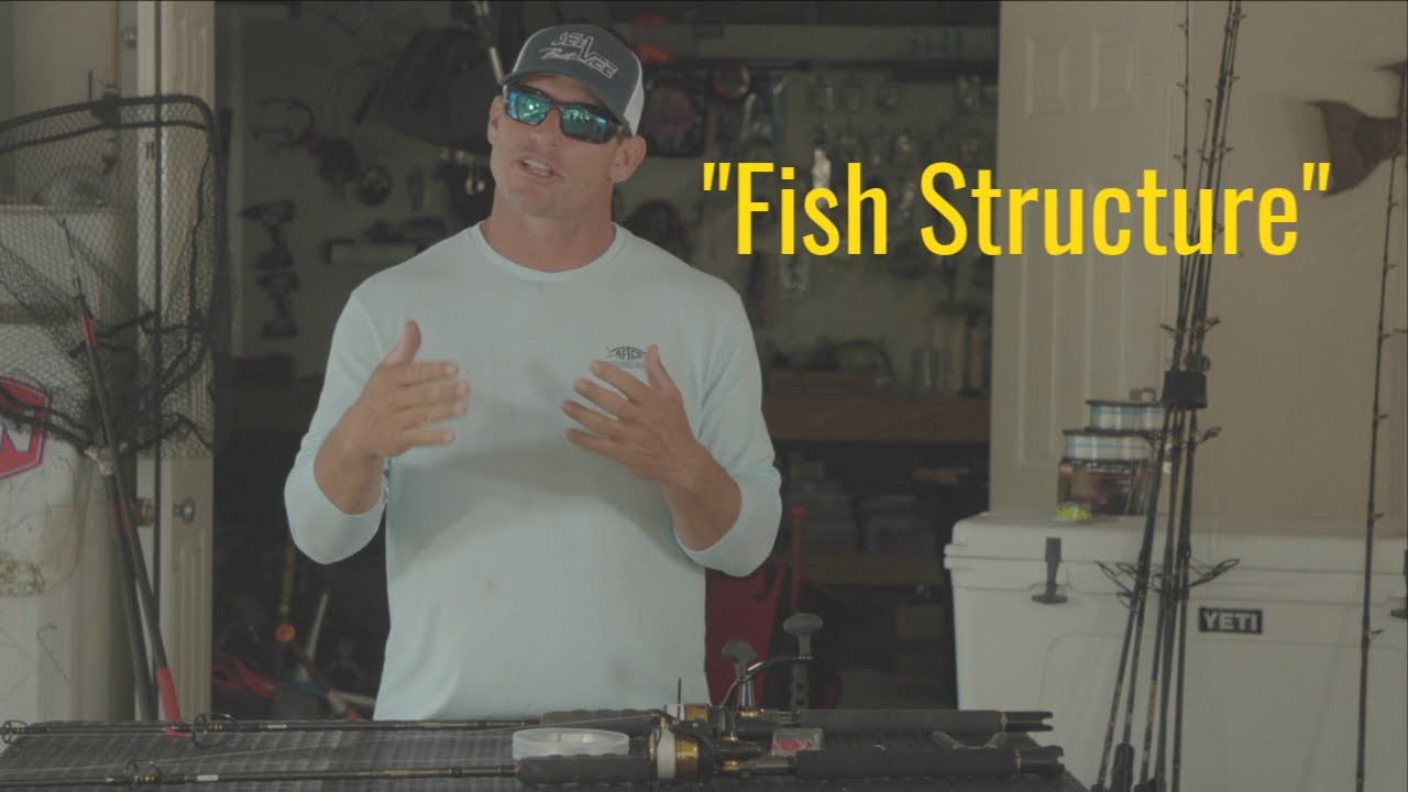 Bottom Fishing Tips Fish Structure YouTube