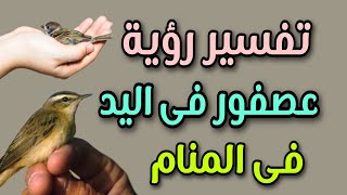 تفسير رؤية عصفور فى اليد فى المنام لابن سيرين