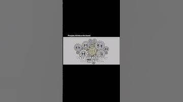 Principles, full video on the channel #principles