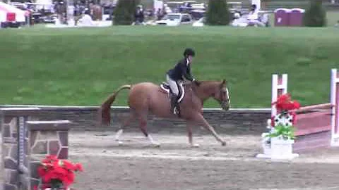 Video of Rock A Feller ridden by Katherine Driscol...