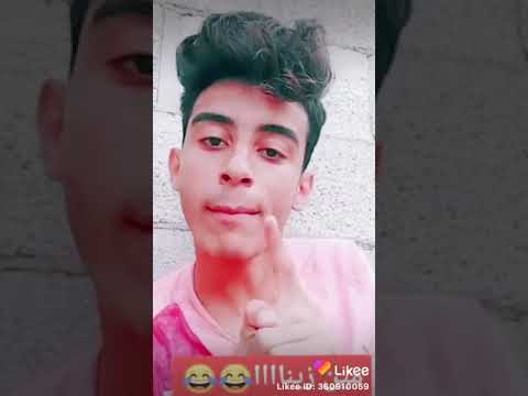 تامر البرنس