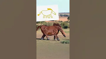 8 AI Brings Children S Drawings To Life So Cute 