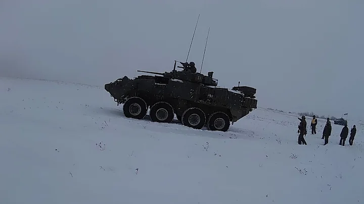 Canadian Infantry, 1VP Ex. Patricia Strike