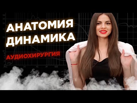 АУДИОХИРУРГИЯ. Устройство Динамика.