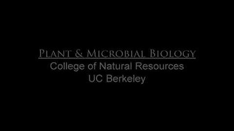 Short Introduction Video  |  Plant & Microbial Biology  |  University of California, Berkeley