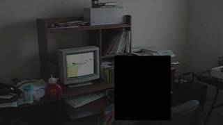 A 3-Second Video of My 486 in Action
