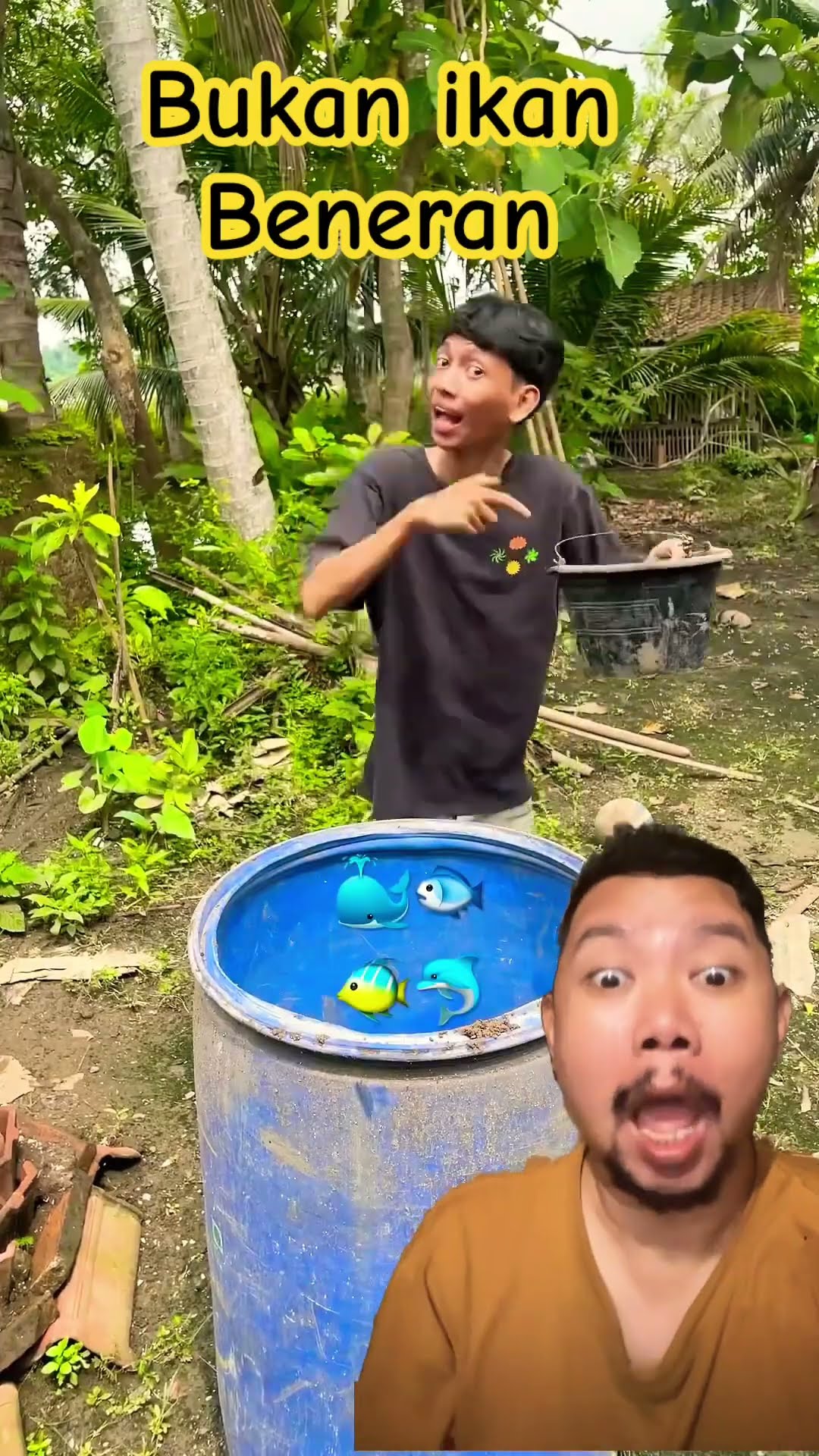 IKAN EMOTICON KOCAK!!!?? #memes #funny #comedy #shortsfeed #lucu #satisfying