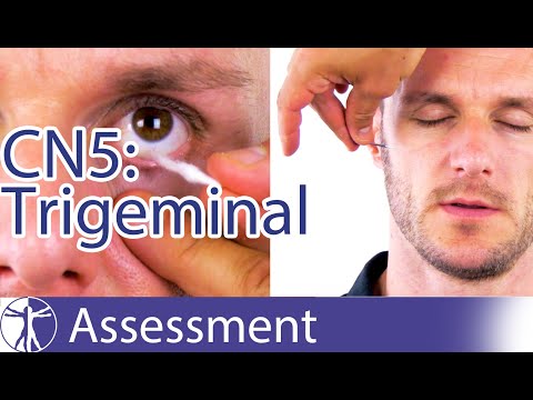 Cranial Nerve 5 | Trigeminal Nerve Assessment for Physiotherapists