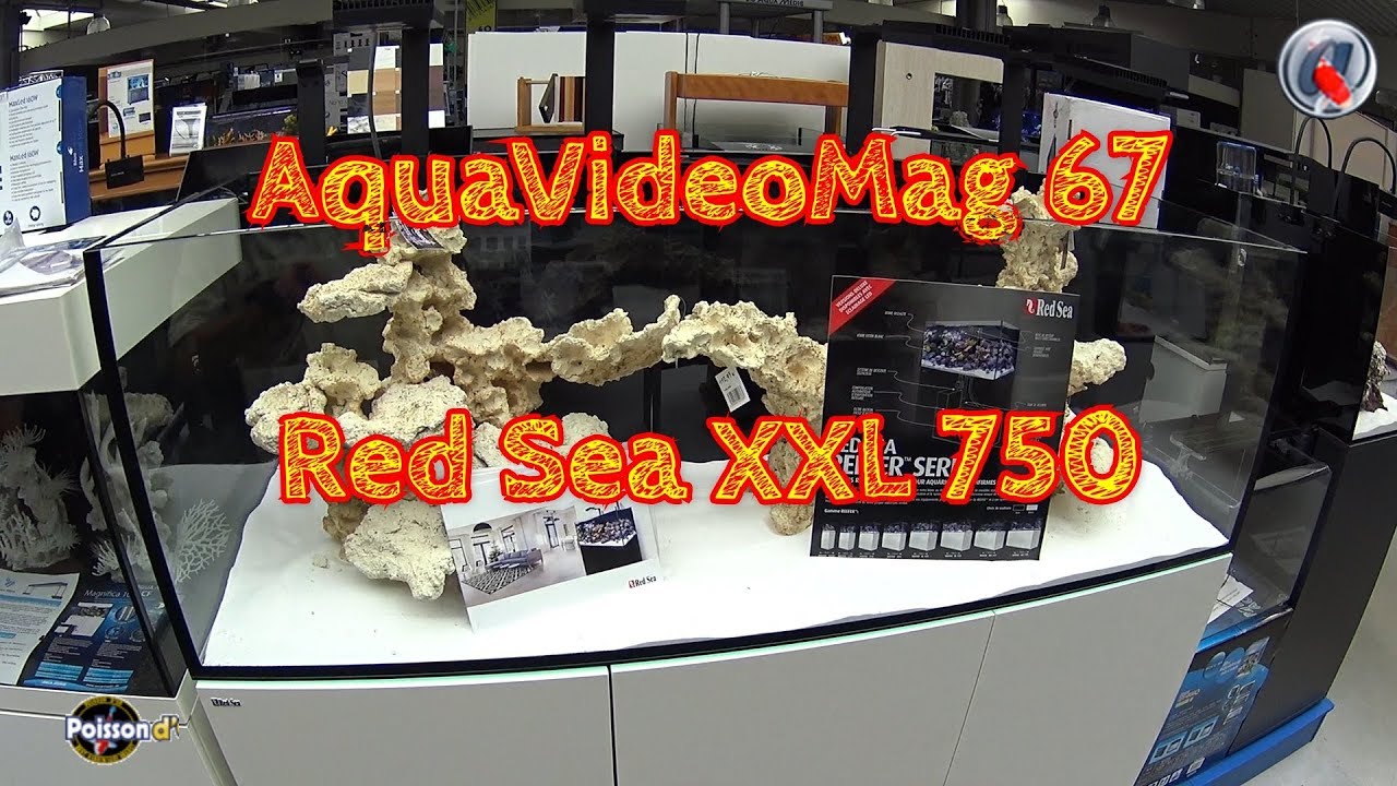 Aquavideomag 67 Red Sea Xxl 750 Youtube Aquavideomag 67 Red Sea Xxl 750 Youtube