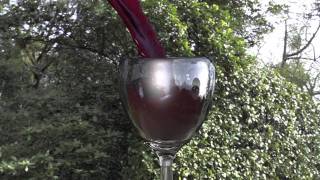 Realflow Wine Pour - low resolution