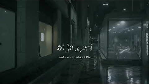 آية جبر لخاطرك ❤️🥺 | القارئ شريف مصطفى - حالات واتس اب قرآن ✨