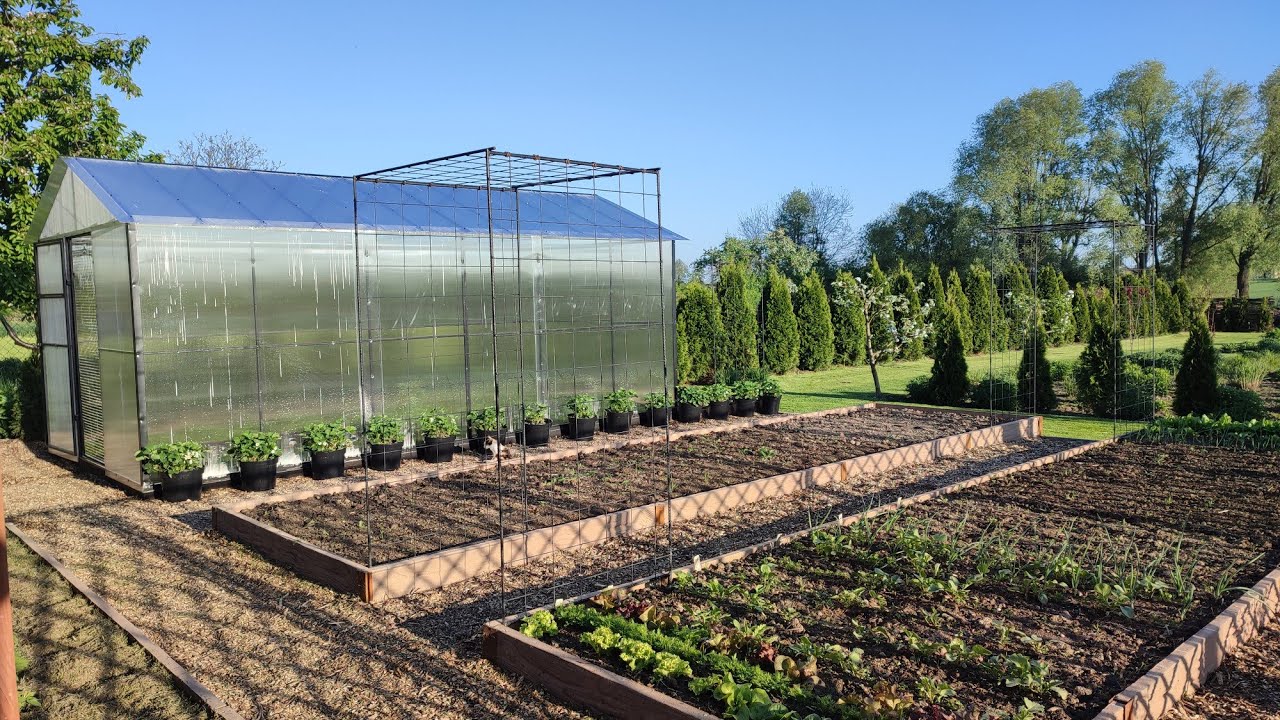 Mam warzywnik! 🍅🫑🫜🥬Wielka metamorfoza  zakątka w ogrodzie 🏡