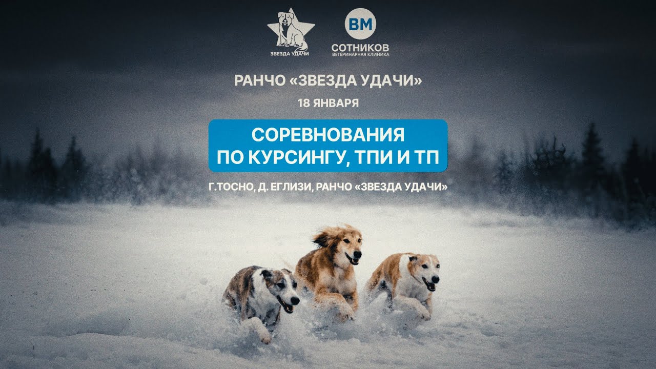 Соревнования по курсингу, ТПИ и ТП