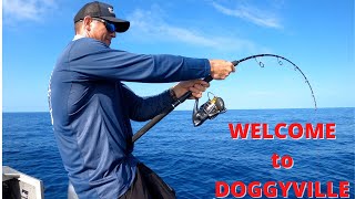 DOGGYVILLE ** Jigging big Dogtooth Tuna (Trying to Stop the Unstoppable) EP2 Remote Island Reef Camp