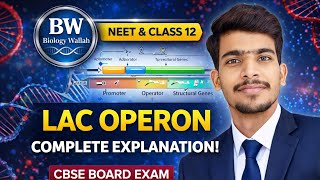LAC OPERON | Biology Wallah | Regulation of Gene Expression | Class 12 Biology | NEET 2026