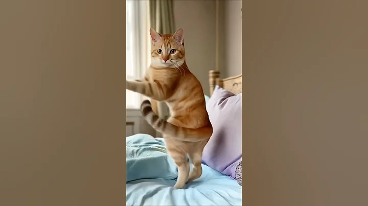 Watch the video about My feed now days