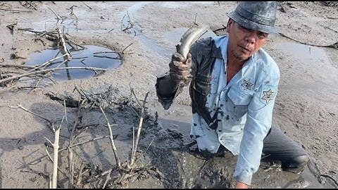 SƯ PHỤ XUỐNG NÚI BẮT CÁ THÒI LÒI QUÁ DỮ