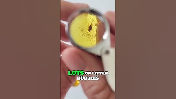 💎 Fossilized Insects in Amber!! 🧐