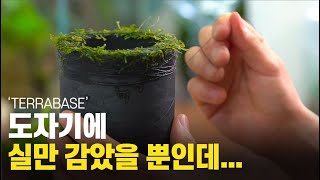 Mysterious pottery 'TERRABASE' where water seeps out! Let's create a new feeling of terrarium. by 내츄럴팟 NATURALLPOT 11,790 views 1 year ago 12 minutes, 26 seconds