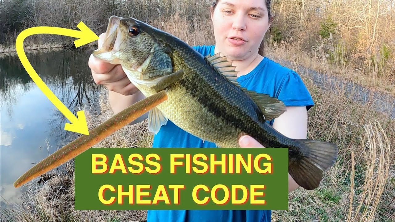 Spring Bass Fishing's TOP Bait! – Bass Manager