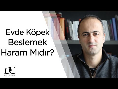 Evde köpek beslemek haram mıdır? | Doç. Dr. Emre Dorman