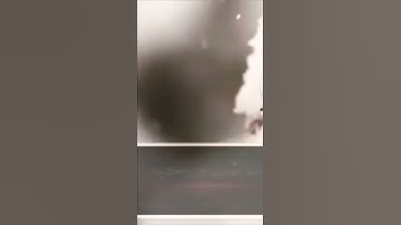 آيات بينات من الذكر الحكيم 💮🌼