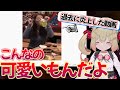息根とめるの大学生時代の黒歴史が痛々しすぎた【息根とめる切り抜き】