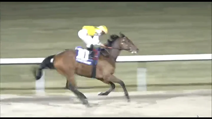 R7 TURFWAY PARK -21 DEC 2025