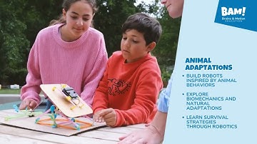 Strawbees Robotics: Design & Build with Micro:bit