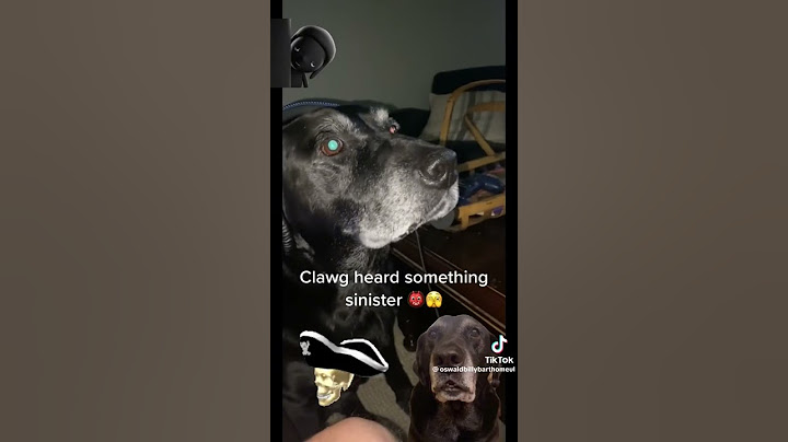 Zawg think he a streamer 🤦🏽‍♂️ #blud #viral #schlawg #zawg
