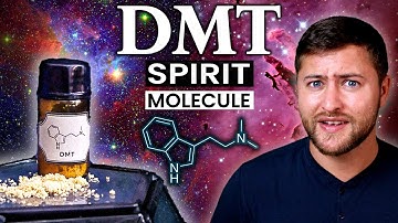 DMT "Extended State" Research Could Change Everything We Know