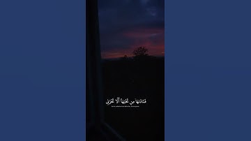 اكتب شي تؤجر عليه ❤ | القارئ شريف مصطفى | قرآن كريم